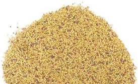 Manufacturers Exporters and Wholesale Suppliers of Rape Seed Meal Gandhidham Gujarat